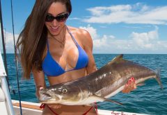 Luiza shows off a beautiful cobia. Go to www.fishingwithluiza.com for more information of this amazing lady angler.