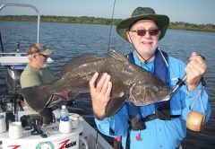 Bill convinced this top-slot black drum to eat an artificial shrimp on a recent trip with Capt. Mark Wright.