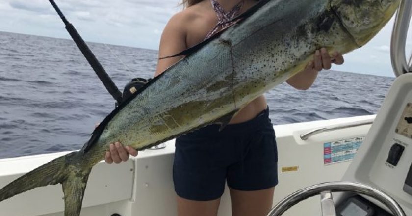 Alexis Styers caught this dolphin North of Sebastian.