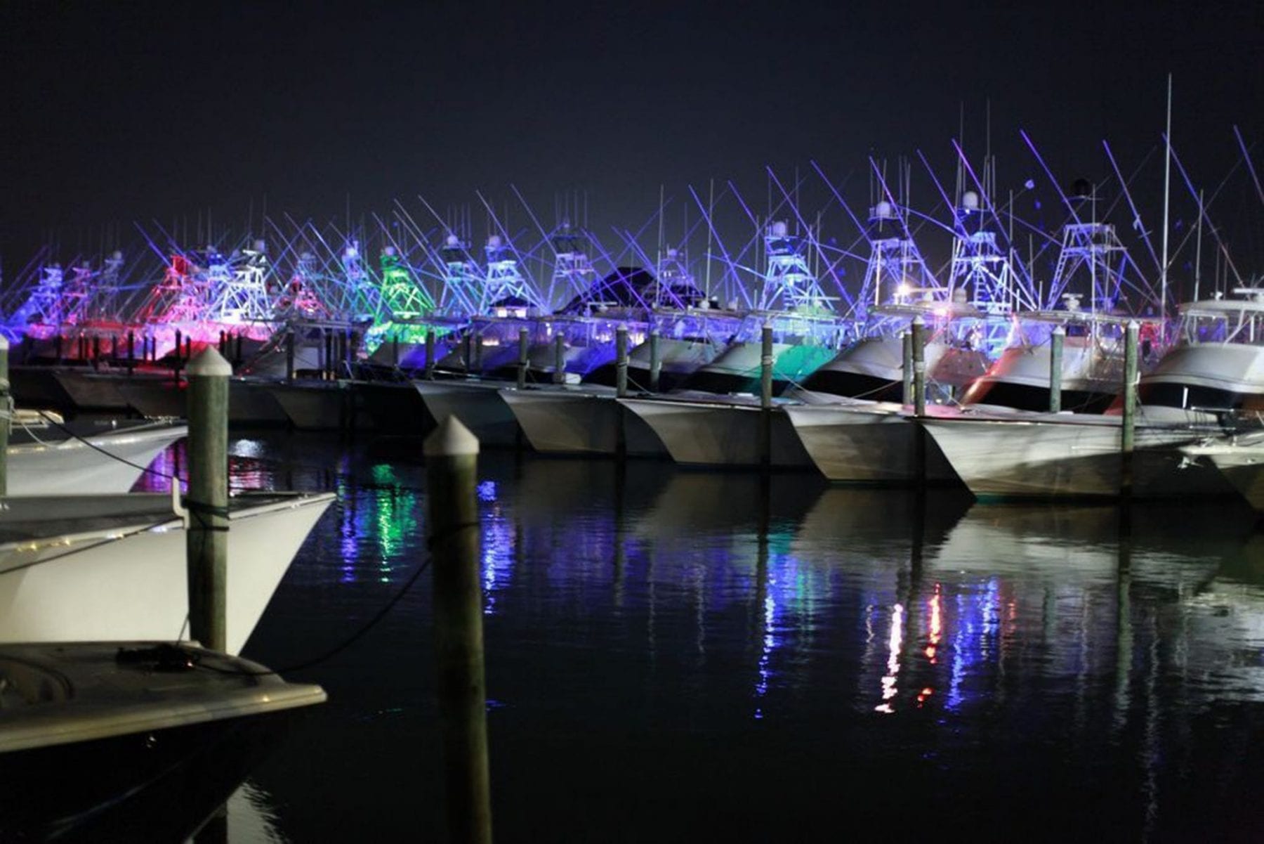 The White Marlin Open - Coastal Angler & The Angler Magazine