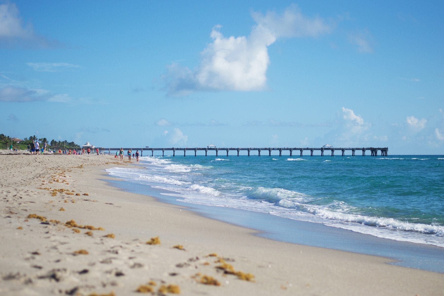 Juno Beach Pier Fishing Forecast July 2018 Coastal 