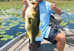 Florida Bass Fishing is some of the best