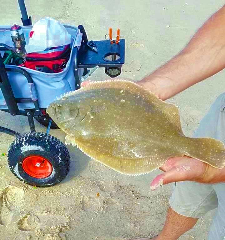 Floundering For Surf Flounder - Coastal Angler & The Angler Magazine