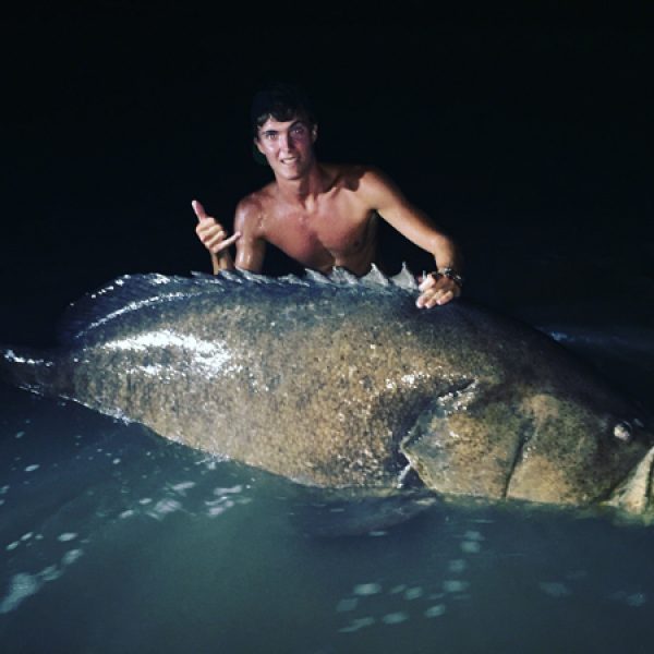 Kody Parmentier with a Goliath Grooper cought on Barracuda right off the beach. The fight was a hour and fifteen minutes long to get this big boy in.