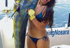 Northern Costa Rica’s Second High Season