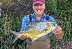 wading the Indian River