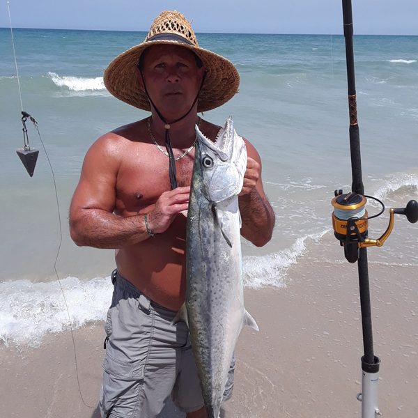 The fish was caught on Melbourne Beach using cut mullet. It was 32". Al Royes