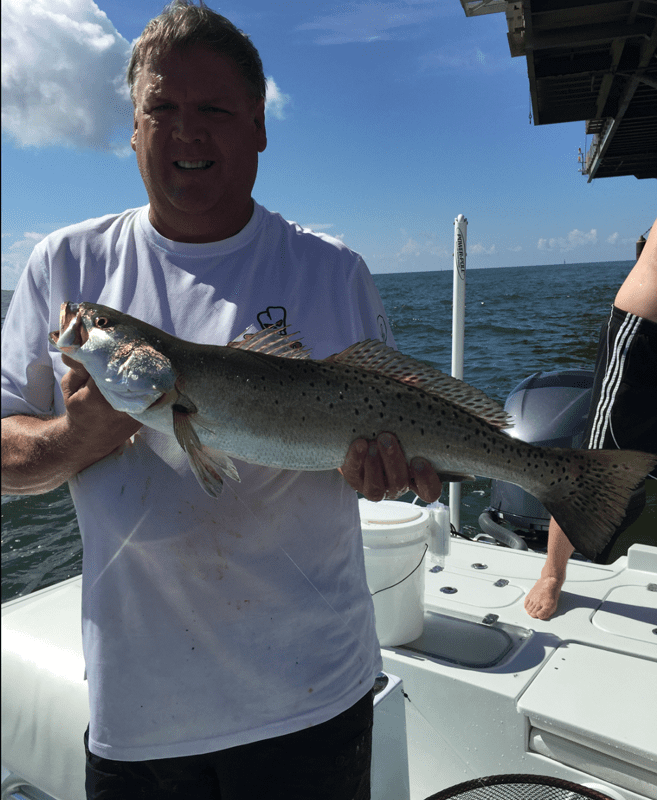 Captain Charlie Gray shows off a beautiful Speckled Trout, 29”, 6 lbs., caught in Mobile Bay.