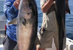 Aaron Fahnestock and John Shelton showing off their AJ and Cobia caught off Panama City.