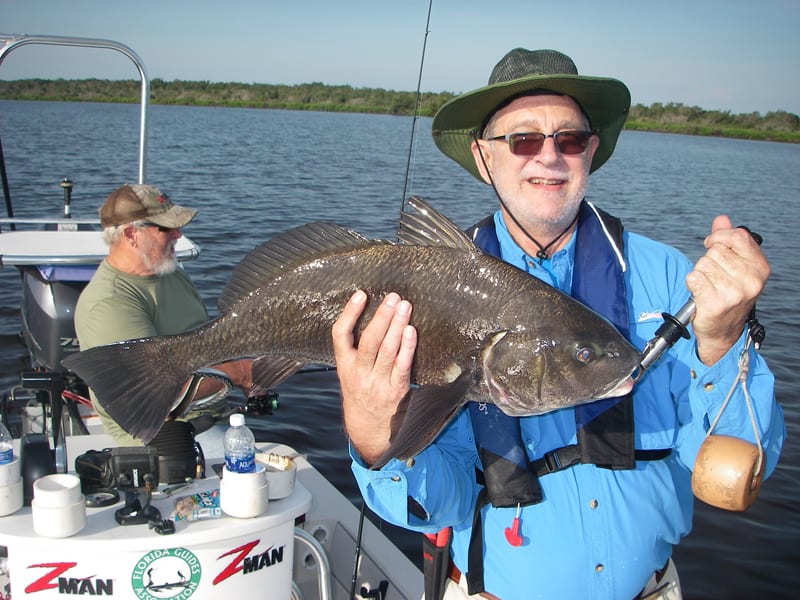 Bill convinced this top-slot black drum to eat an artificial