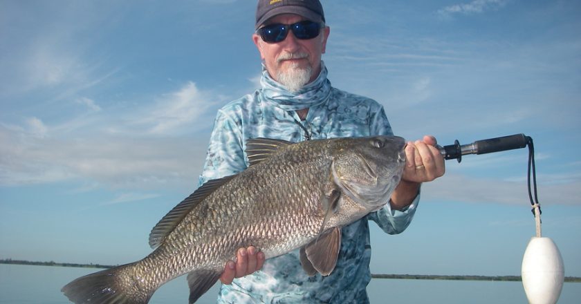 Rober enjoyed a morning of sight-fishing Mosquito Lagoon black drum and proved drum can be caught on lures. This drum and others ate a Z-Man Diezel Minnowz on a recent trip with Capt. Mark Wright.