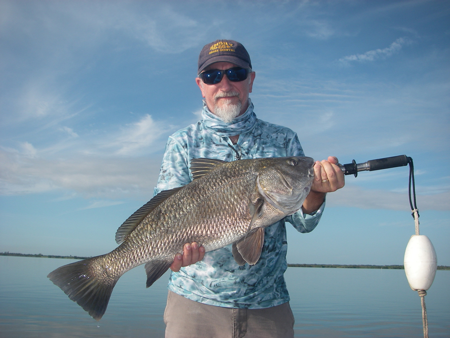 Rober enjoyed a morning of sight-fishing Mosquito Lagoon black drum and proved drum can be caught on lures. This drum and others ate a Z-Man Diezel Minnowz on a recent trip with Capt. Mark Wright.