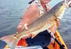 Kayak fishing in Frankin County, FL