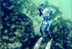 freediving gear