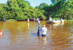 Vegetation Enhancement On Lake Gaston Continues