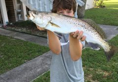 Jonah Hatcher canal trout on a top water Zara Spook mid morning