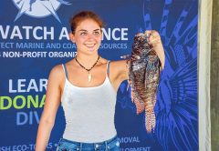 lionfish