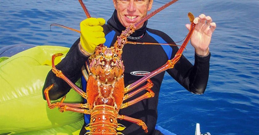 spiny lobster season