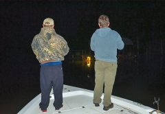 fish at night