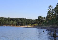 Rayburn Lake The Best Bass Lake In The Country by Bassmaster