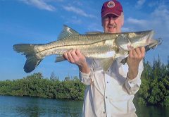 Find Fish This Fall in The Indian River Lagoon