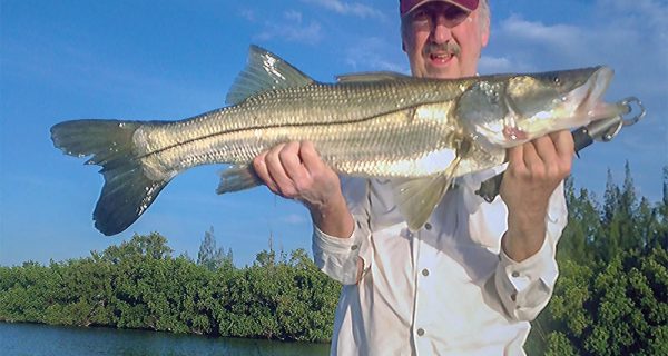 Find Fish This Fall in The Indian River Lagoon