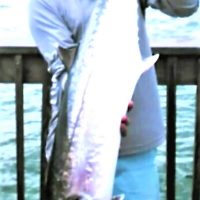 Stephen Burton shows off a nice King Mackerel caught off the Pensacola Fishing Pier.