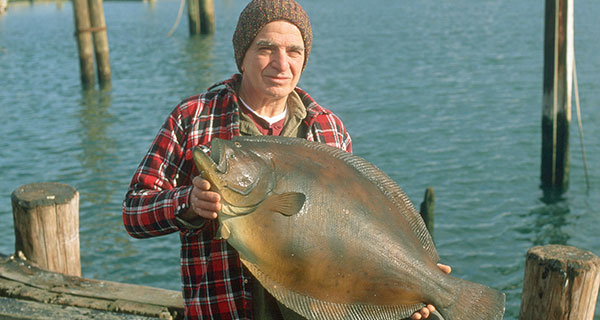 Gear and Tackle: Nantucket Shoals Fluke - On The Water