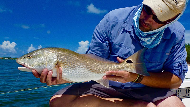 Sight Fishing for Trout - Fly Fisherman