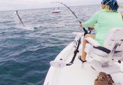 Angler Carla Mathias caught on a recent charter with me.