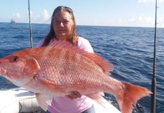 FiredUpCharters.com