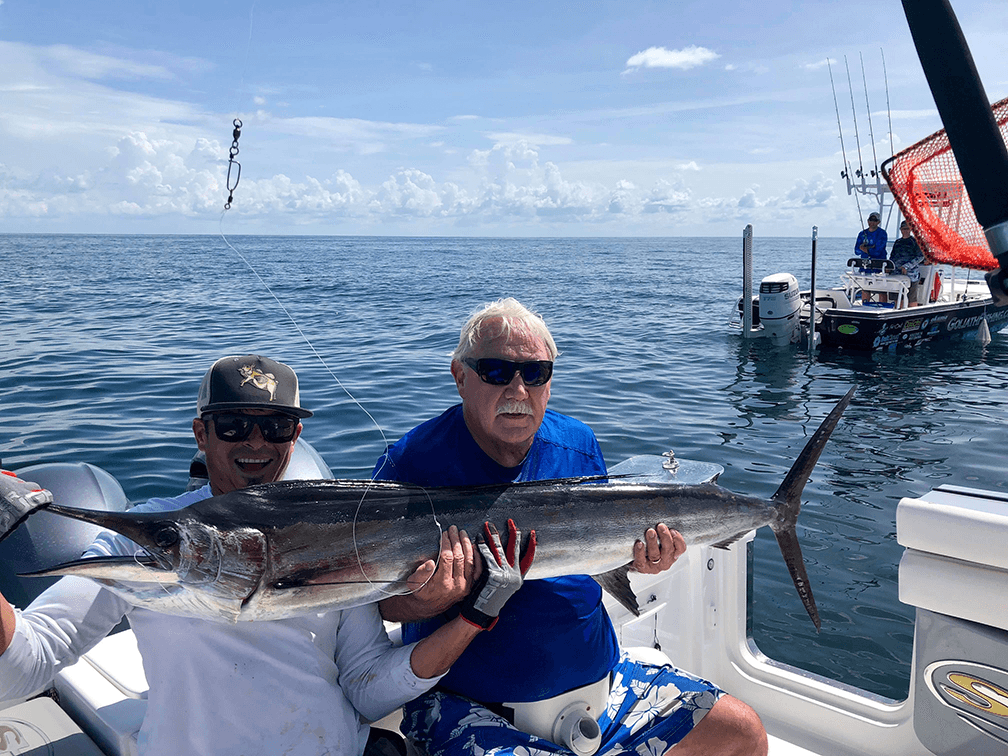 Sailfish in Boca Grande - Coastal Angler & The Angler Magazine