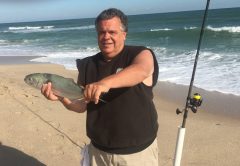 Richard caught this great looking bluefish in November 2017 on the Brevard County Beaches.