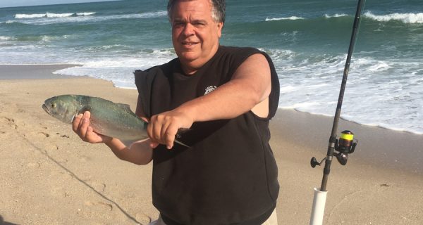Richard caught this great looking bluefish in November 2017 on the Brevard County Beaches.