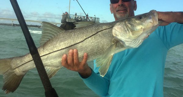 Fort Pierce inshore snook