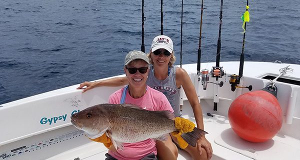 Sebastian offshore mangrove snapper