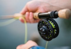 Fly Fishing Speed: How Fast Should You Retrieve The Fly?
