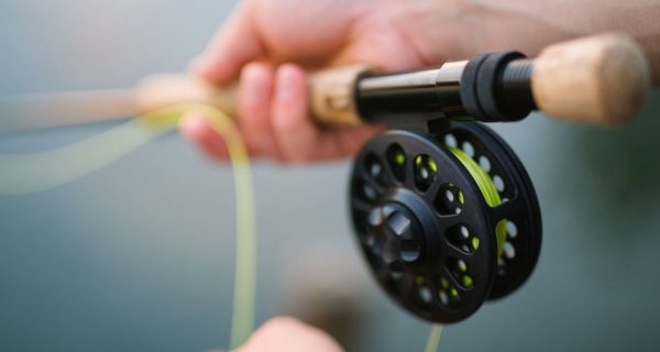 Fly Fishing Speed: How Fast Should You Retrieve The Fly?
