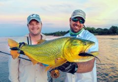 In Search Of Ecuadorian Golden Dorado