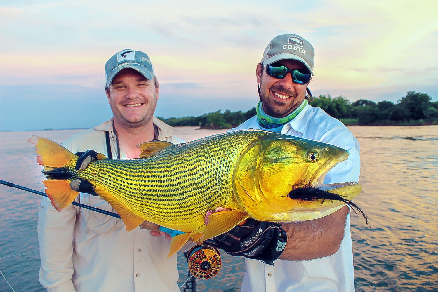 Golden Dorado In Search Of Ecuadorian Gold Coastal Angler Mag