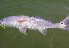 Autumn fishing