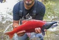 Kokanee State Record