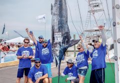2018 King of The Hill Tournament