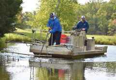 electrofishing survey