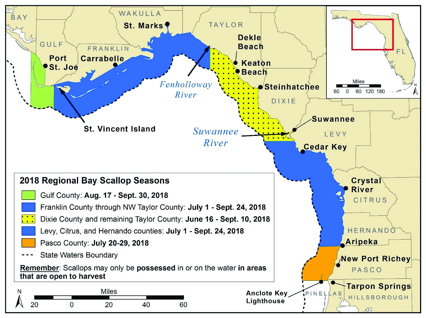 Input Sought On Florida Scallop Season Coastal Angler & The Angler