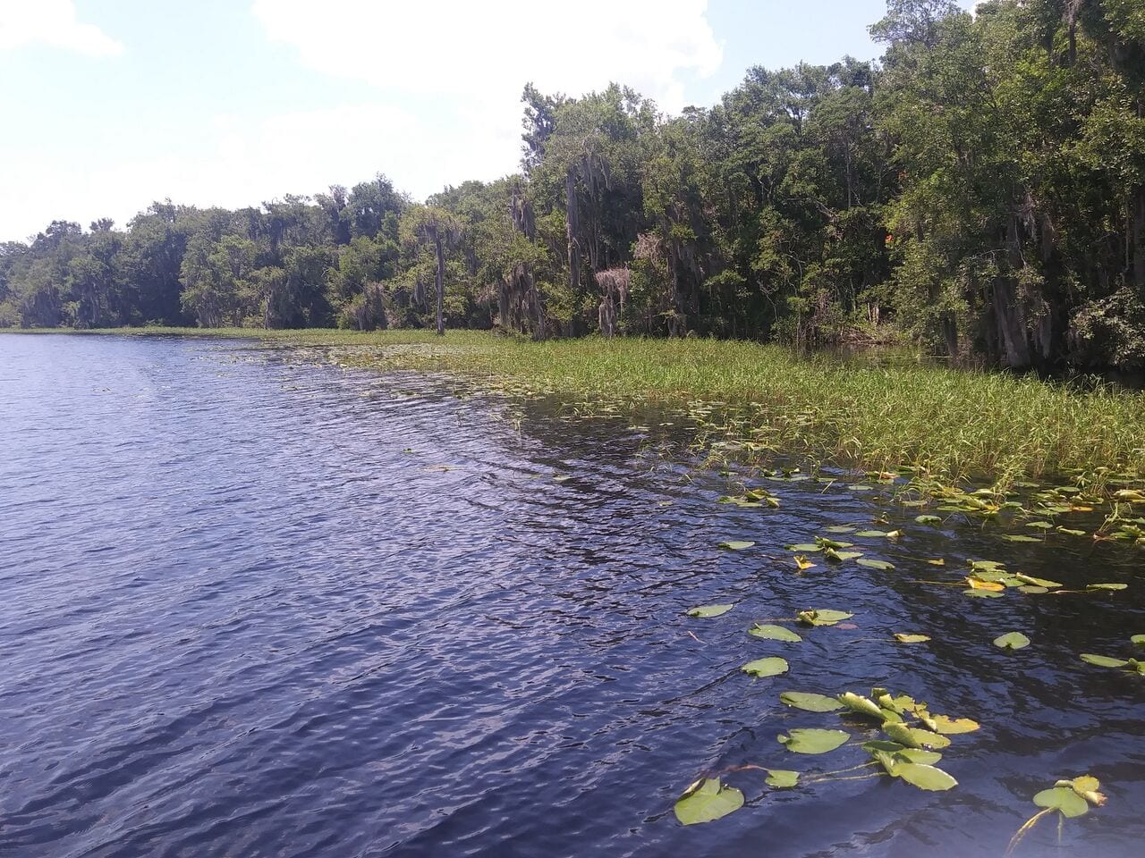 Florida Waterways: “Lake Alto” | Coastal Angler &amp; The ...