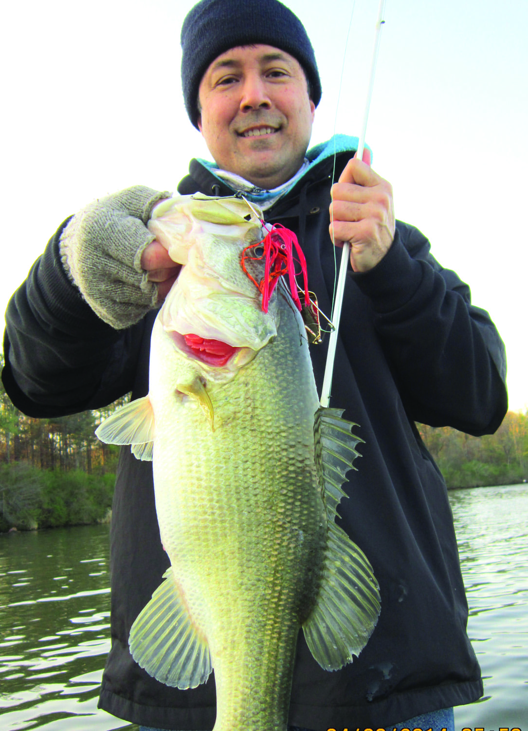 Autumn Topwater Buzzbait Bass - Coastal Angler & The Angler Magazine