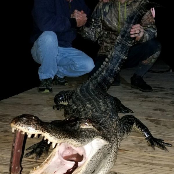 David Meredith (left) and Josh Korel (right) show off a gator they caught on the Escambia River.