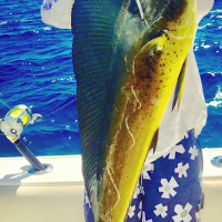 Billy West shows off a beautiful mahi-mahi he caught in the Gulf.