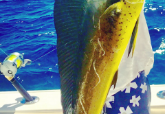 Billy West shows off a beautiful mahi-mahi he caught in the Gulf.